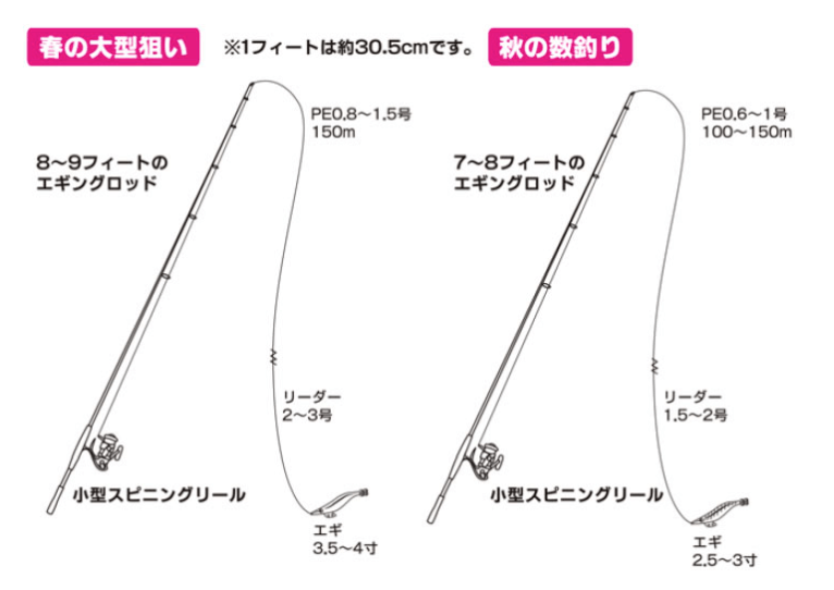 19 初心者でもできるイカ釣り エギングで簡単に釣れます