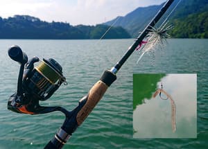 バス釣り ラインの太さは バス釣りにはラインの太さが重要 バス釣り ラインの太さは バス釣りにはラインの太さが重要