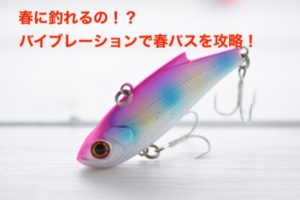 バス釣り ラインの太さは バス釣りにはラインの太さが重要 バス釣り ラインの太さは バス釣りにはラインの太さが重要