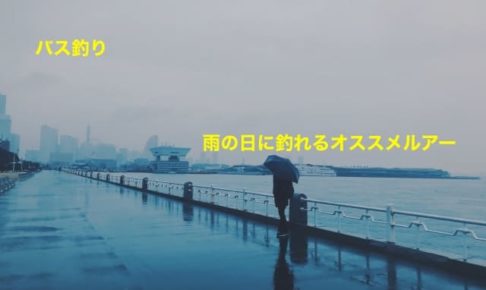 バス釣り 雨の日はバスがよく釣れる その理由を徹底解説