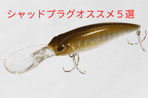 バス釣り ラインの太さは バス釣りにはラインの太さが重要 バス釣り ラインの太さは バス釣りにはラインの太さが重要